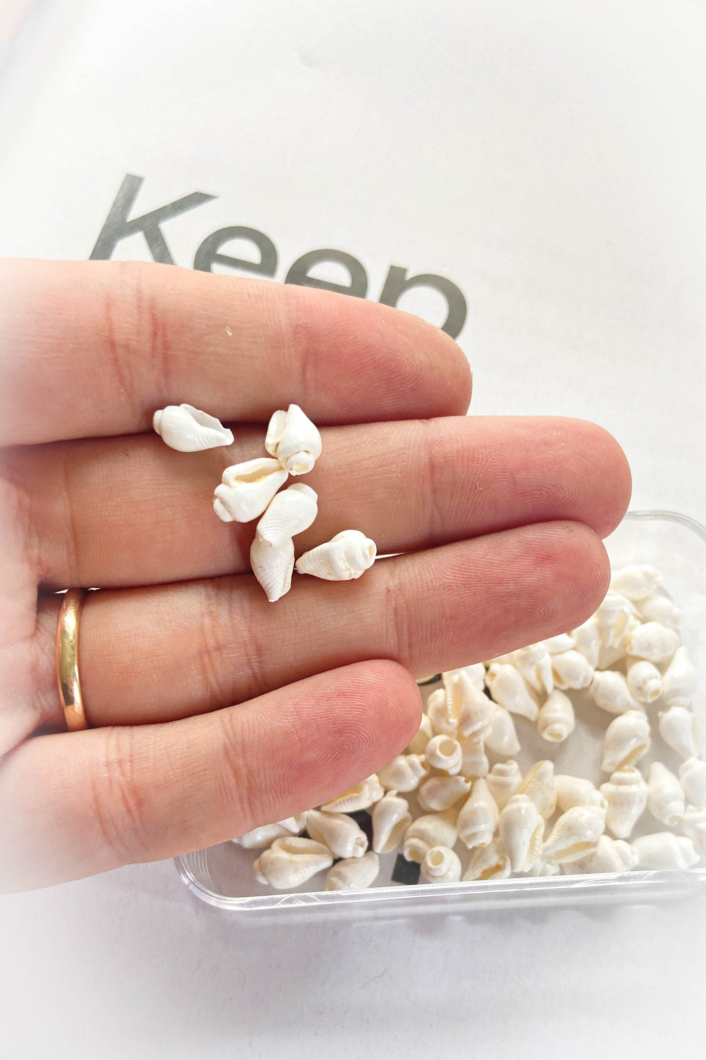 Beyaz Deniz Kabuğu 1 cm