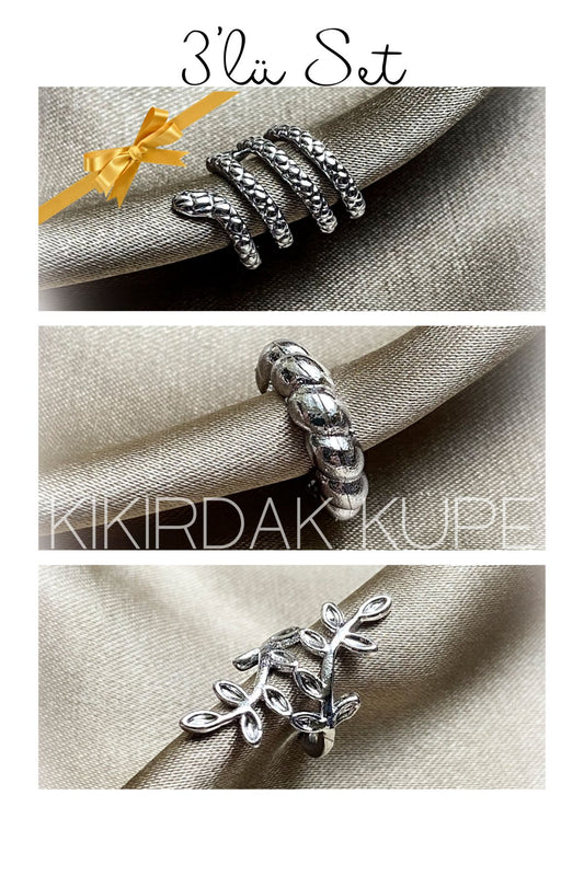 3 adet Set Kıkırdak Küpe Gümüş Kaplama Kararmaz Kadın Küpe