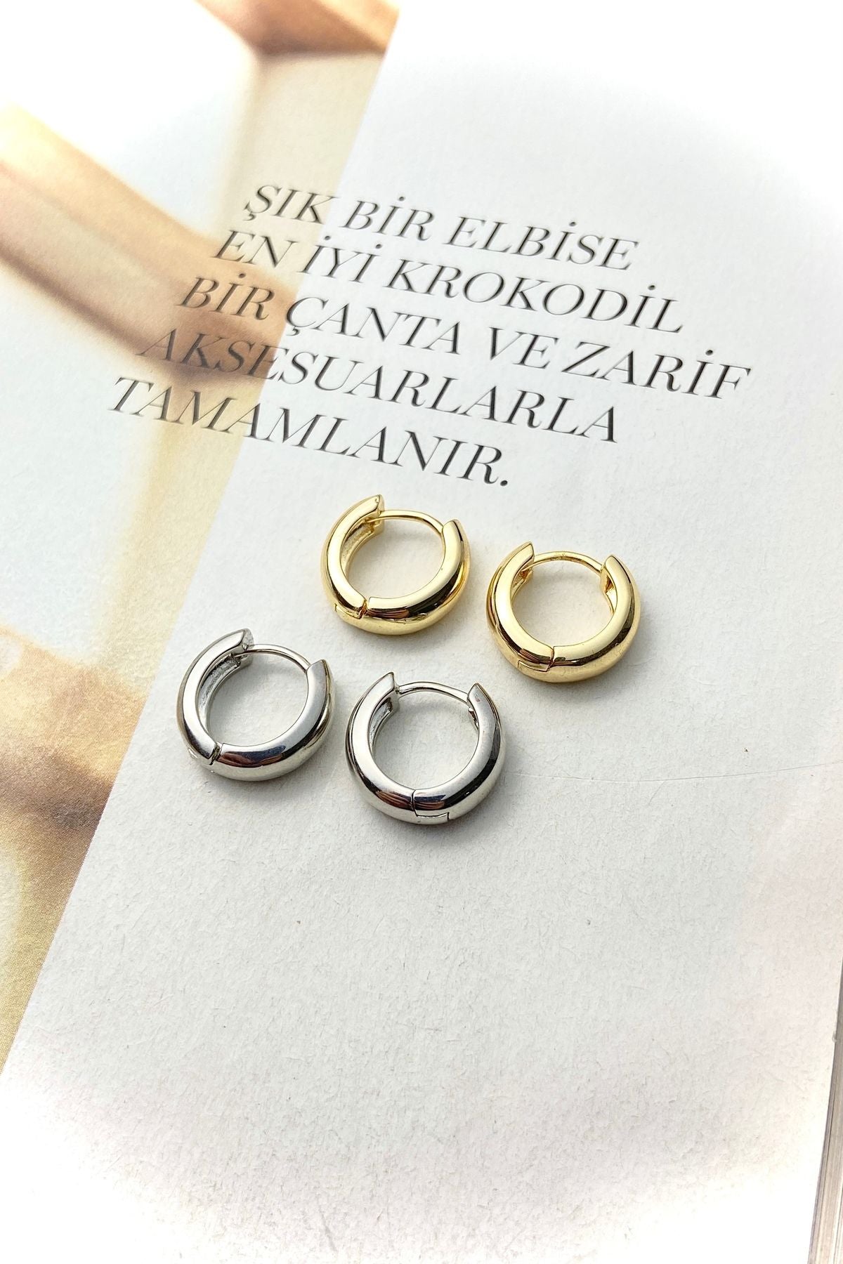Çelik 2 Renk Kalın Halka Küpe Seti