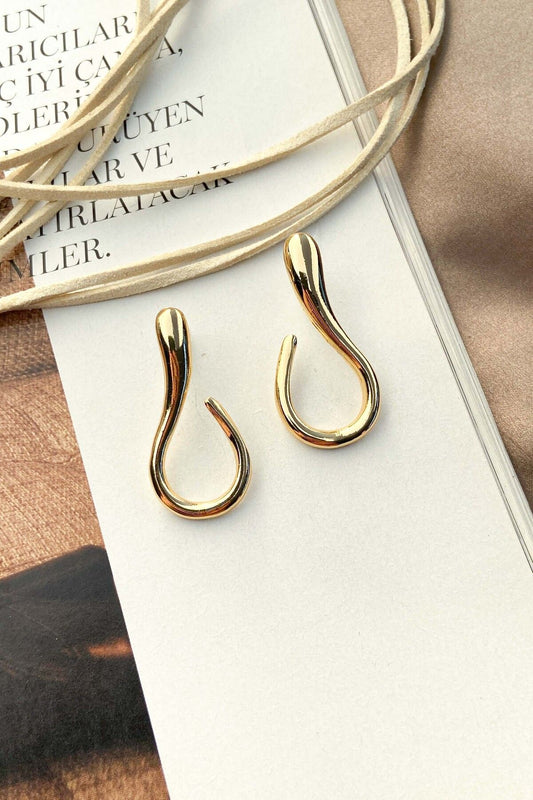 Sallantılı Kanca Model Küpe 2 Farklı Renk Seçeneği