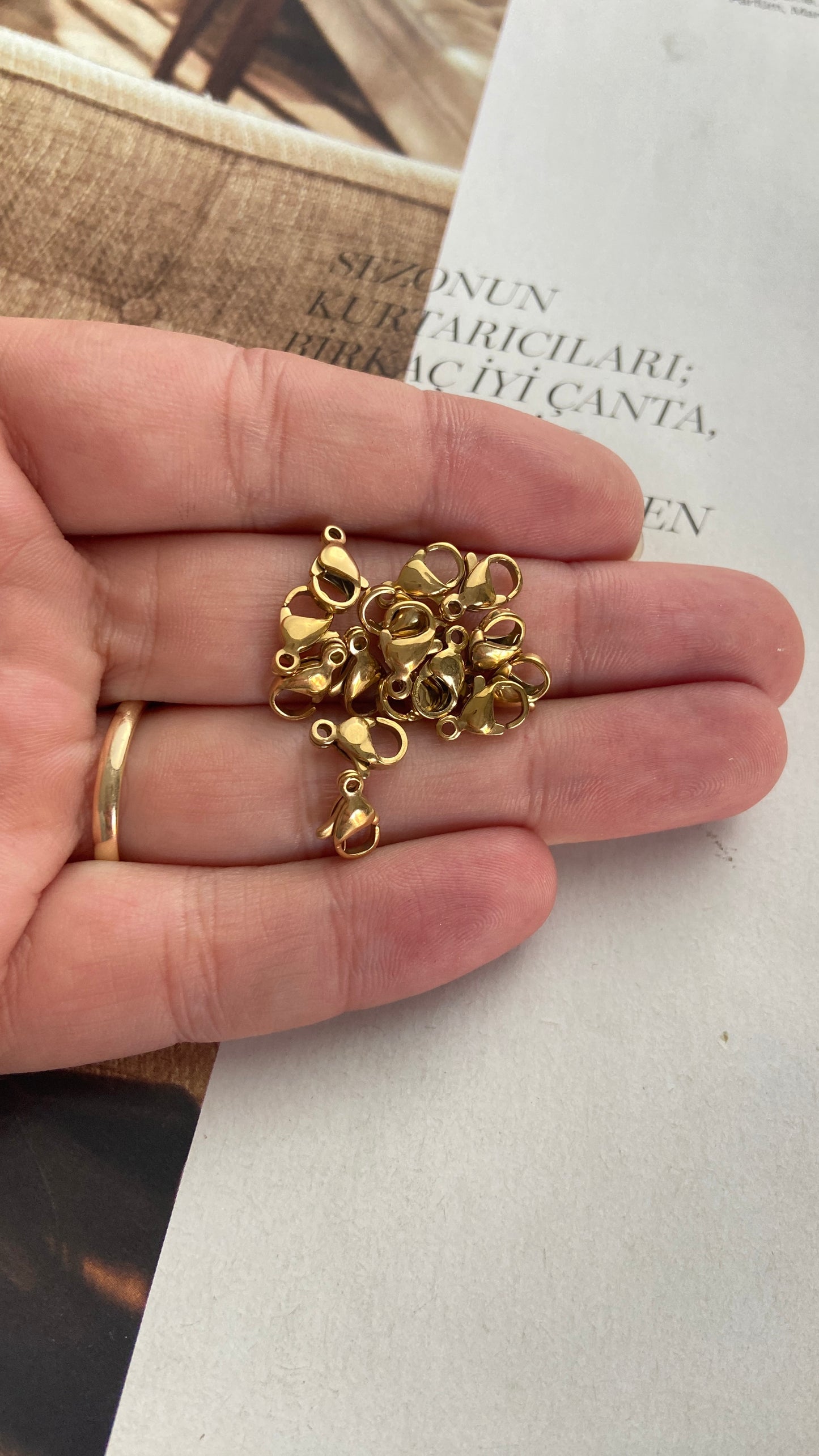 Altın Renk Çelik Papağan 501